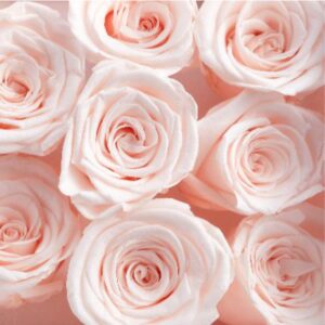 PYF023 - Flores
