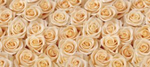 PYF024 - Flores