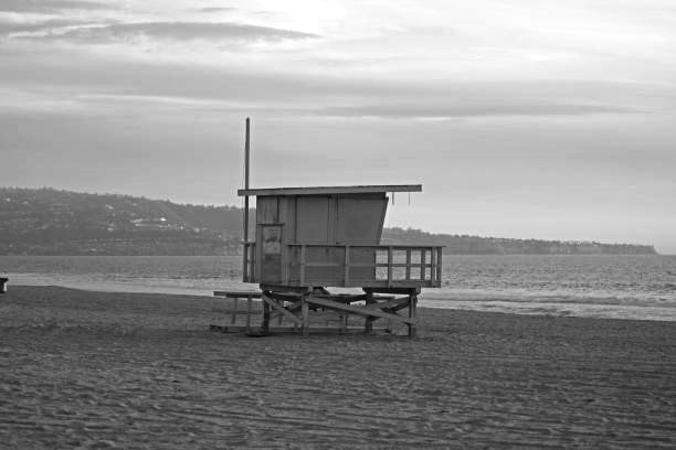CP56_istockphoto-1364701524-612x612 byn