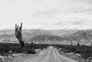 NOR006 - Paisaje Norte