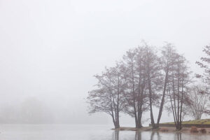 PAI069 - Arboles