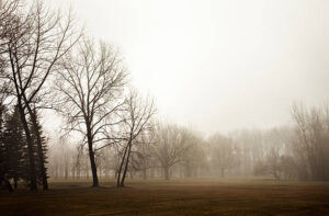 PAI093 - Arboles