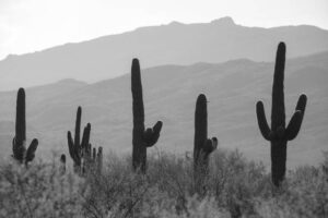 NOR055 - Paisaje Norte