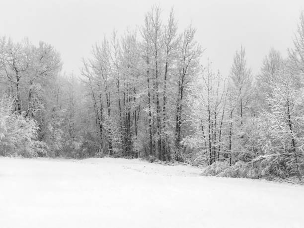PAI121_istockphoto-1200579514-612x612