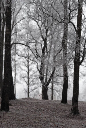 PAI165- Arboles