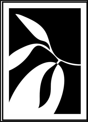 AM097-Arte Moderno