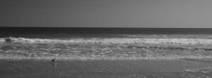 PL65 - Playa blanco y negro