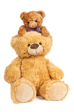IN059 - Peluche