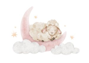 IN067 -Caricatura animal