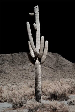 NOR059 - Paisaje Norte