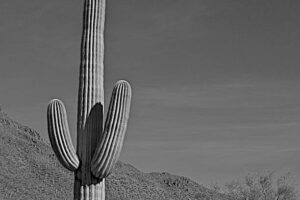NOR064 - Paisaje Norte