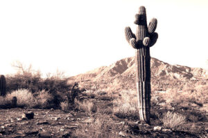 NOR067 - Paisaje Norte color