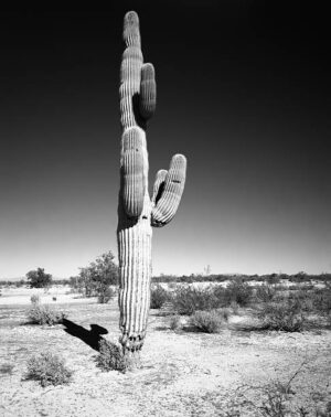 NOR075 - Paisaje Norte