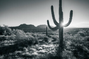 NOR079 - Paisaje Norte