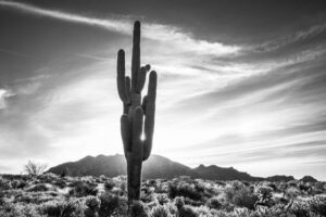 NOR087 - Paisaje Norte