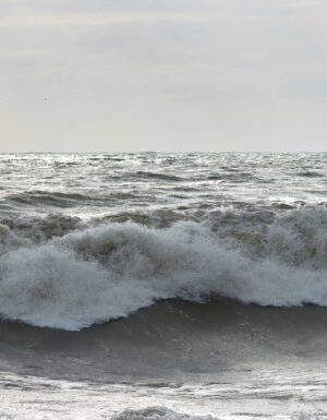 PL73 - Playa blanco y negro